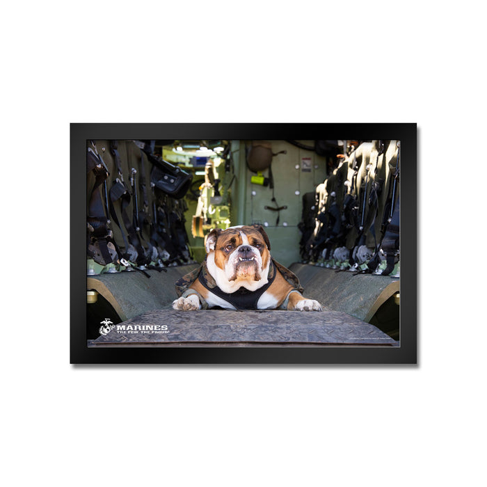 U.S. Marine Corps Bulldog Framed Print
