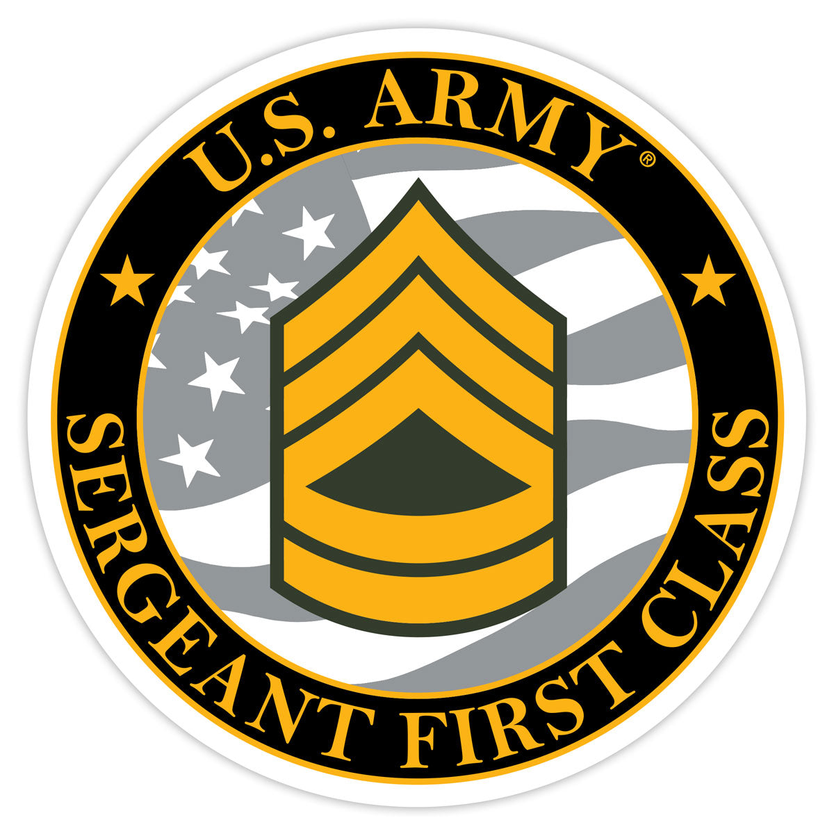 US Army E-7 Sergeant First Class 3.5